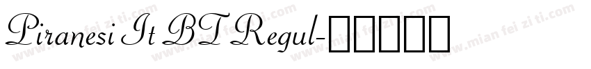Piranesi It BT Regul字体转换